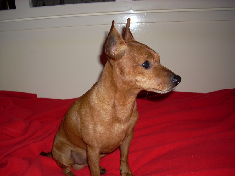 [image]